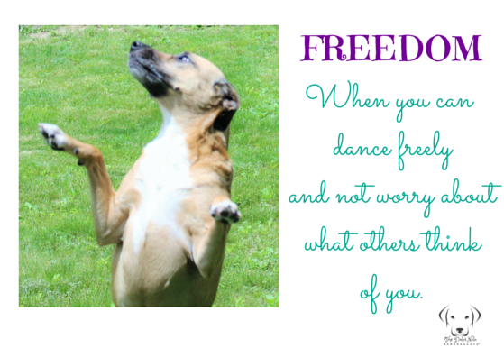 Worry Less. Dance More. Freedom.