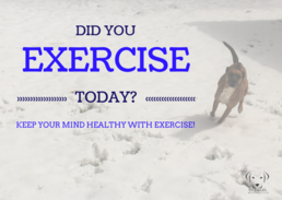 What will you do today for your physical health?