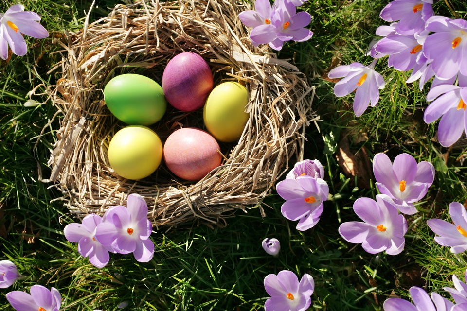 Happy Easter From Integrity Health Coaching Weight Loss and Fitness Centers in New Hampshire