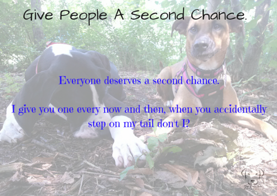 Everyone Deserves a Second Chance