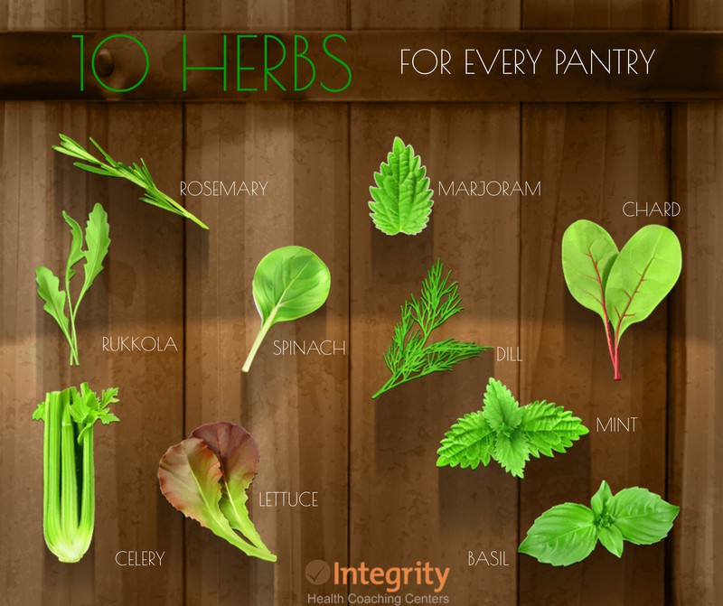 10 Must Have Herbs