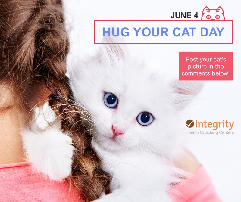 Hug Your Cat Day!